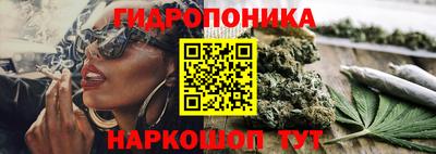 стафф Заволжье