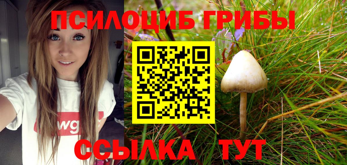 Галлюциногенные грибы Psilocybine cubensis  Вход с VPN  Карталы 