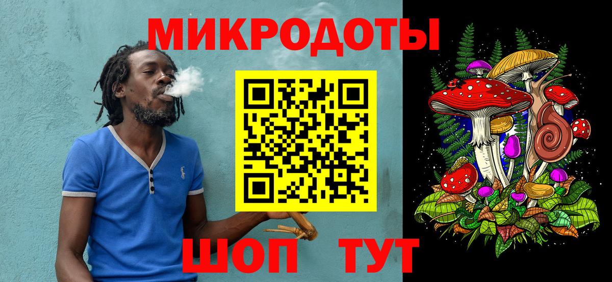 Псилоцибиновые грибы Psilocybe Карталы